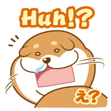 Let's talk in Japanese with dog Azuma sticker #960771