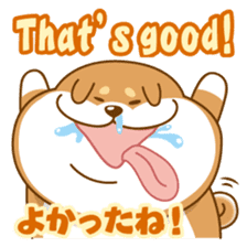 Let's talk in Japanese with dog Azuma sticker #960791