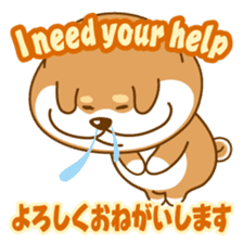 Let's talk in Japanese with dog Azuma sticker #960795