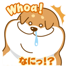 Let's talk in Japanese with dog Azuma sticker #960796