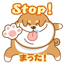 Let's talk in Japanese with dog Azuma sticker #960799