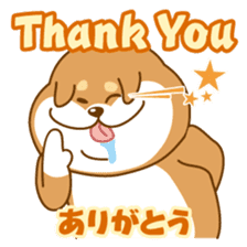 Let's talk in Japanese with dog Azuma sticker #960806