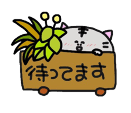 Honorific version sticker #961583