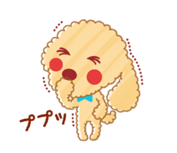 A lovely toy poodle(Apricot) sticker #961930