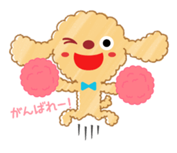 A lovely toy poodle(Apricot) sticker #961947