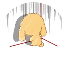 A lovely toy poodle(Apricot) sticker #961951