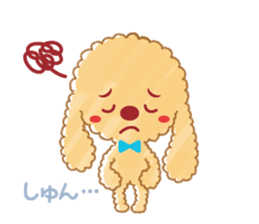 A lovely toy poodle(Apricot) sticker #961962