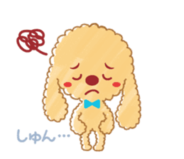 A lovely toy poodle(Apricot) sticker #961962