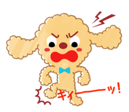 A lovely toy poodle(Apricot) sticker #961964