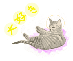 Cat-Happy praise of the Luna Kannon sticker #962690