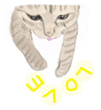 Cat-Happy praise of the Luna Kannon sticker #962693