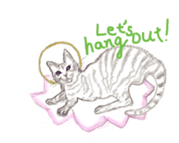 Cat-Happy praise of the Luna Kannon sticker #962694