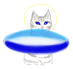 Cat-Happy praise of the Luna Kannon sticker #962707