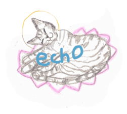 Cat-Happy praise of the Luna Kannon sticker #962708