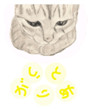 Cat-Happy praise of the Luna Kannon sticker #962715