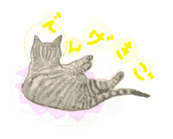 Cat-Happy praise of the Luna Kannon sticker #962722