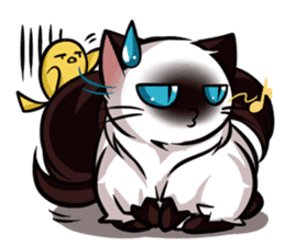 Himalayan Cat - MoBu sticker #963847
