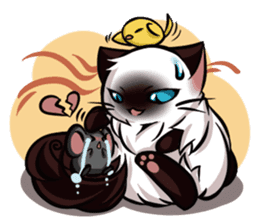 Himalayan Cat - MoBu sticker #963858