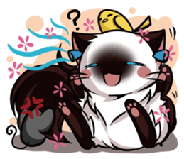 Himalayan Cat - MoBu sticker #963866