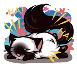 Himalayan Cat - MoBu sticker #963873