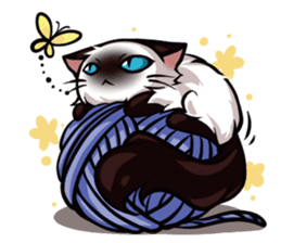 Himalayan Cat - MoBu sticker #963878