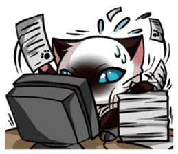 Himalayan Cat - MoBu sticker #963879