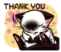 Himalayan Cat - MoBu sticker #963884