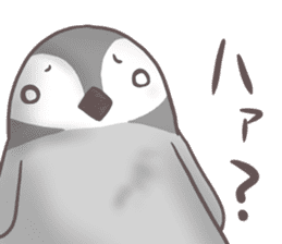 Daily penguins sticker #963941