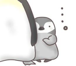 Daily penguins sticker #963943