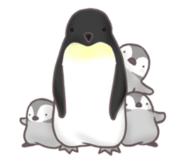 Daily penguins sticker #963957