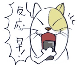 masataka neko sticker #964119