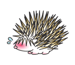 Bucky the hedgehog sticker #964249