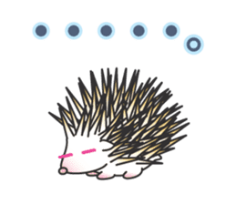 Bucky the hedgehog sticker #964257