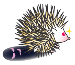 Bucky the hedgehog sticker #964261