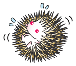 Bucky the hedgehog sticker #964262