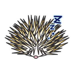 Bucky the hedgehog sticker #964282