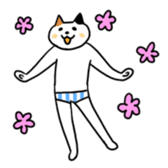 Cat in underwear sticker #964409