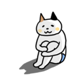 Cat in underwear sticker #964435