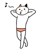 Cat in underwear sticker #964439