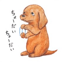 Miniature Dachshuds Minimaru sticker #964613