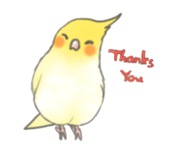 Cockatiels-FanFan sticker #965409