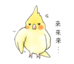 Cockatiels-FanFan sticker #965415