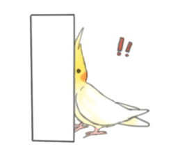 Cockatiels-FanFan sticker #965420