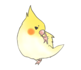 Cockatiels-FanFan sticker #965440