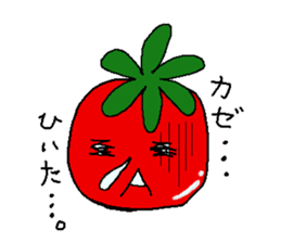 tomato boy sticker #966899