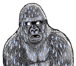 Honorific of Gorilla gorilla gorilla sticker #967412