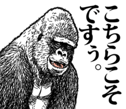 Honorific of Gorilla gorilla gorilla sticker #967421