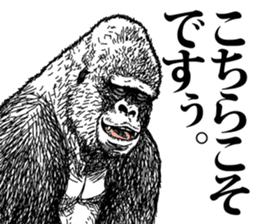 Honorific of Gorilla gorilla gorilla sticker #967421