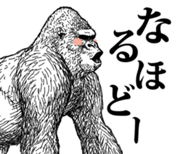 Honorific of Gorilla gorilla gorilla sticker #967423