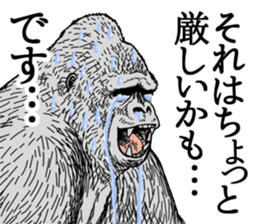 Honorific of Gorilla gorilla gorilla sticker #967433